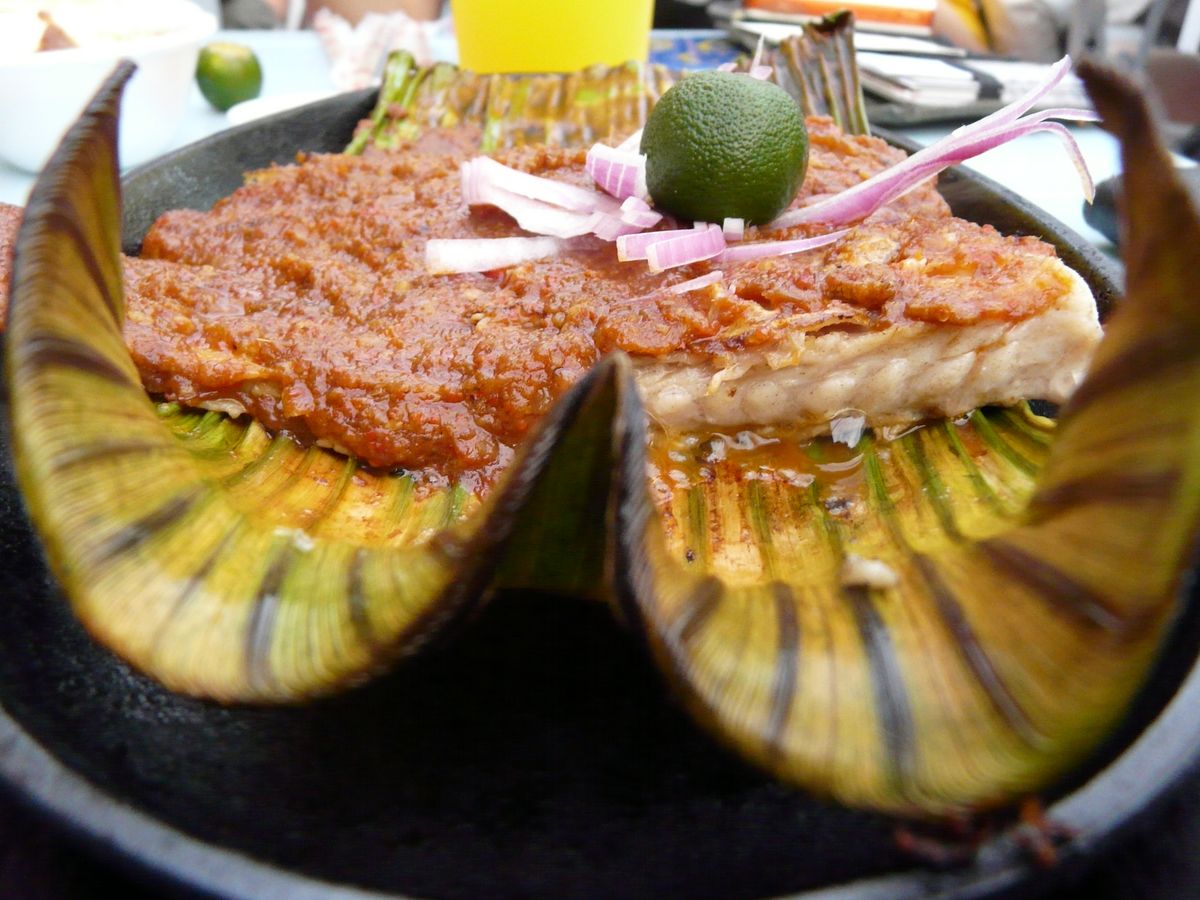 サンバルスティングレイ